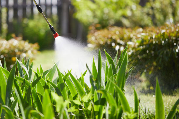 24/7 Emergency Ant Control experts in Henry, IL